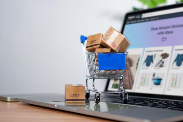 E-commerce Platforms